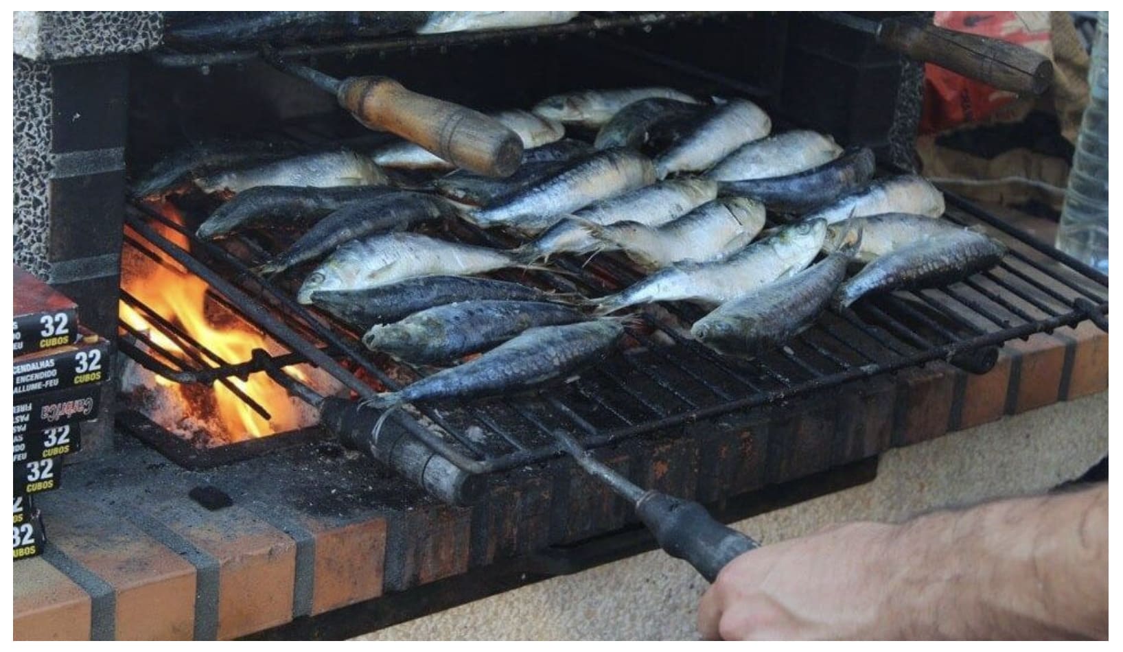 Parrillada de saridna