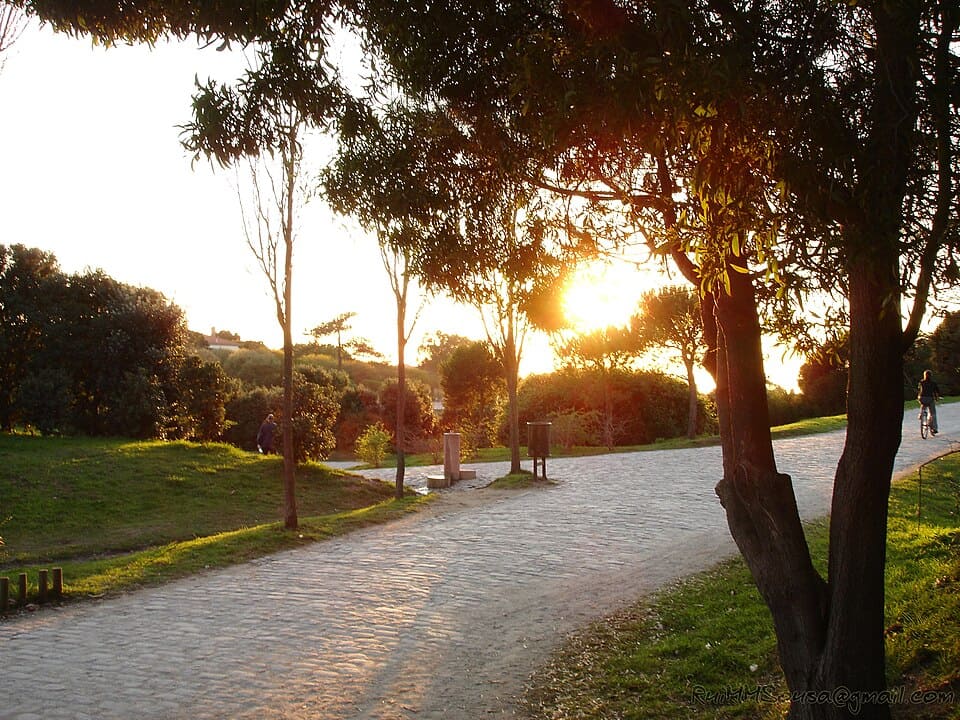 Parque de la ciudad de Oporto